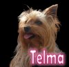 telma2.jpg